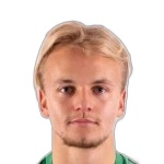 N. Vassiljev